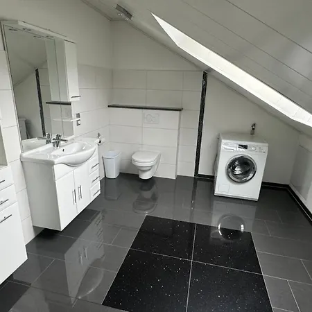 Apartment 2 Zimmer Dachgeschosswohnung Kaiserslautern